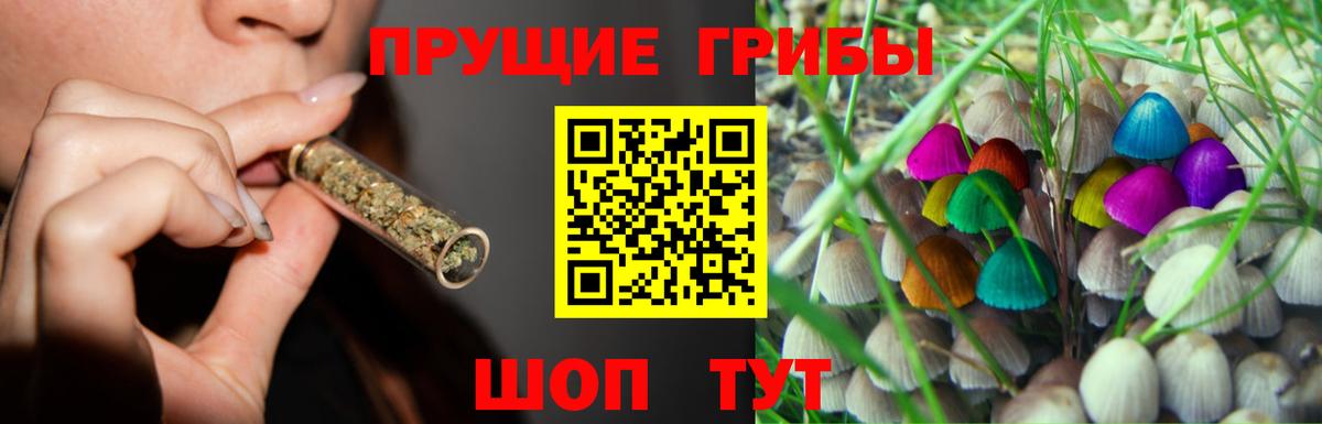 Батайск  Псилоцибиновые грибы мухоморы  Вход с VPN 